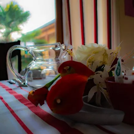 Bed & Breakfast D'hotes Lempery Puechoursi