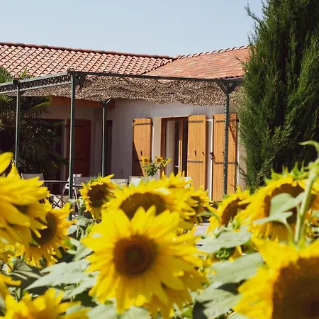 Bed & Breakfast D'hotes Lempery Puechoursi