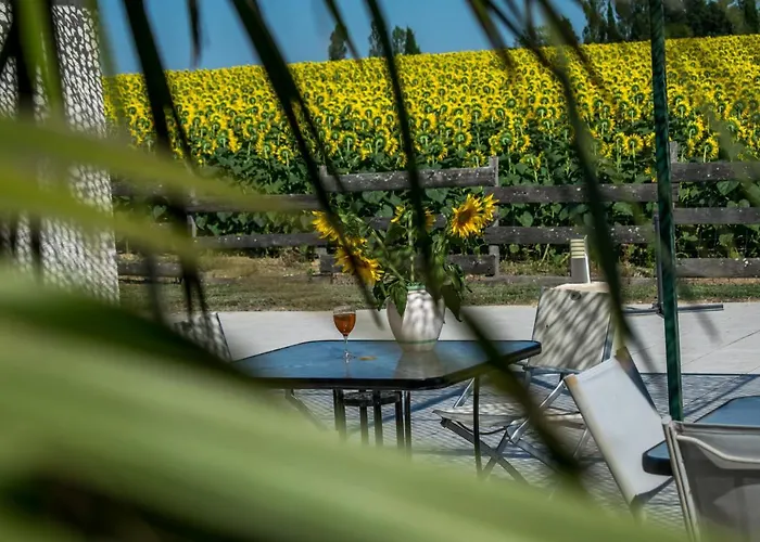 D'hotes Lempery Bed & Breakfast Puechoursi