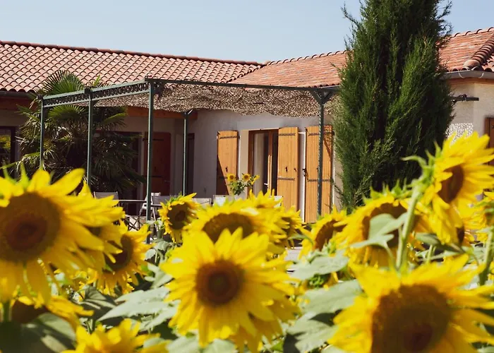 Bed & Breakfast D'hotes Lempery Puechoursi