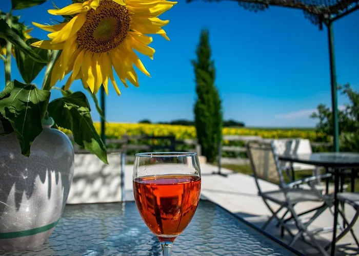 Bed & Breakfast D'hotes Lempery Puechoursi