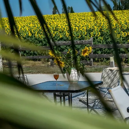 D'hotes Lempery Frühstückspension Puechoursi