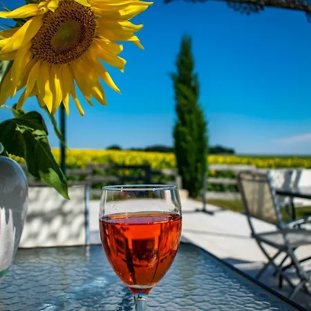 Frühstückspension D'hotes Lempery Puechoursi