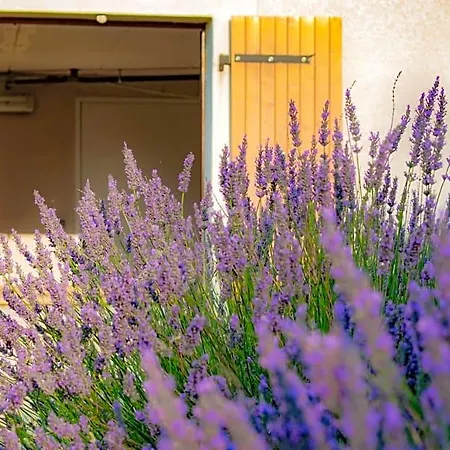 D'hotes Lempery Bed and breakfast Puechoursi